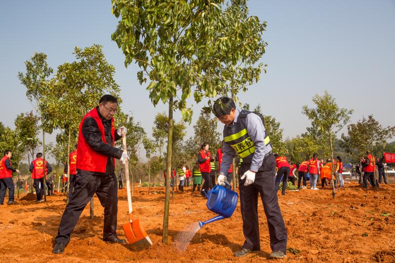 �������� - ��ҳ