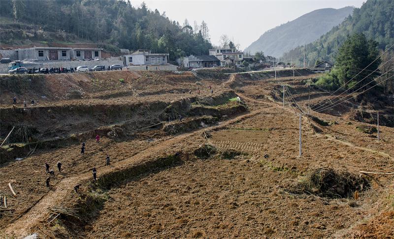 �������� - ��ҳ