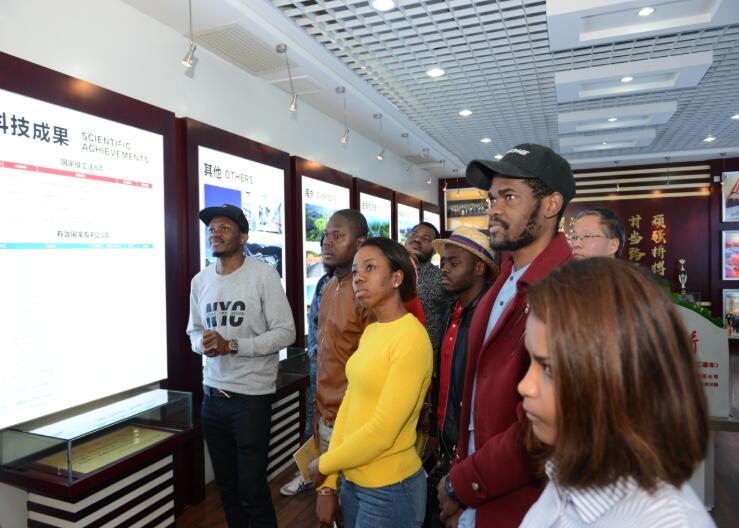 �������� - ��ҳ