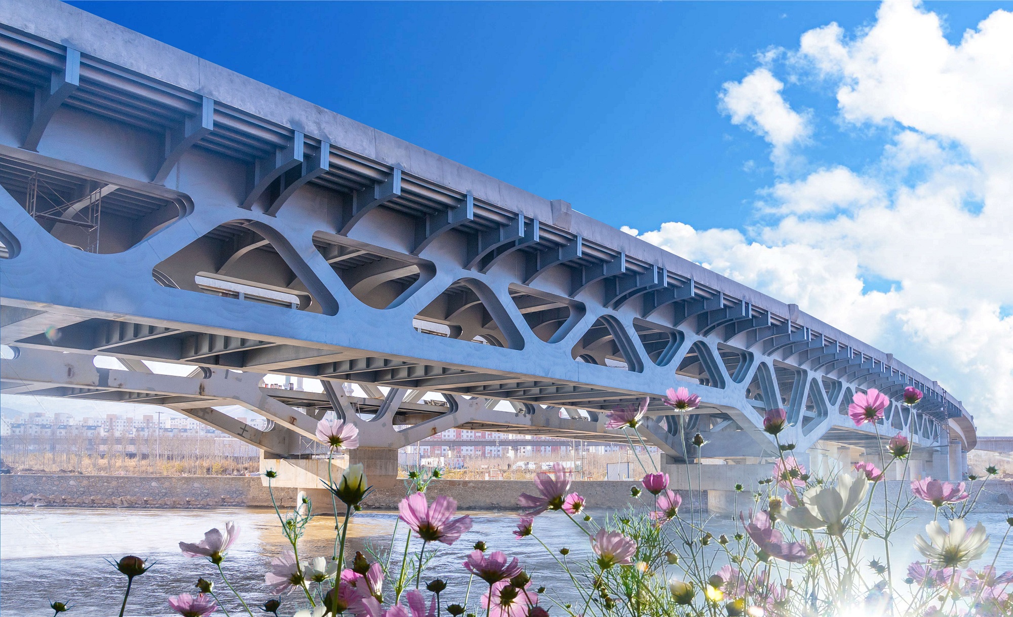 20210222120080.jpg ´óÇÅÖ÷Ìåä¯ÀÀ3_¸±±¾.jpg