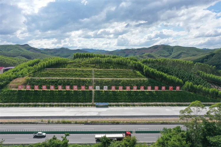 20230420112687.jpg 4.jpg