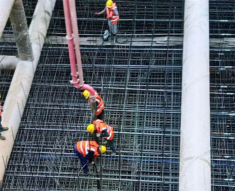 20230424127847.jpg 5.jpg