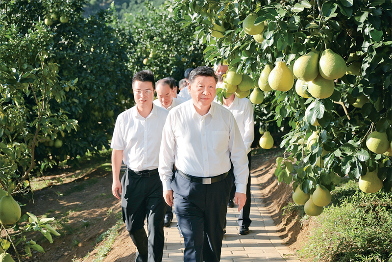 �������� - ��ҳ